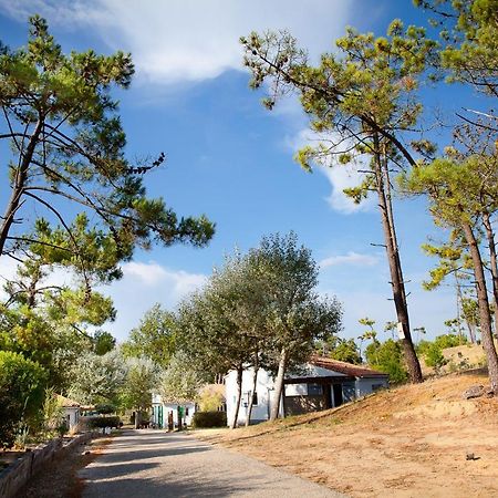 Village Vacances Le Petit Bec Saint-Hilaire-de-Riez Bagian luar foto
